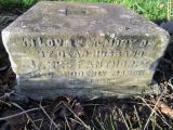 image of grave number 364318